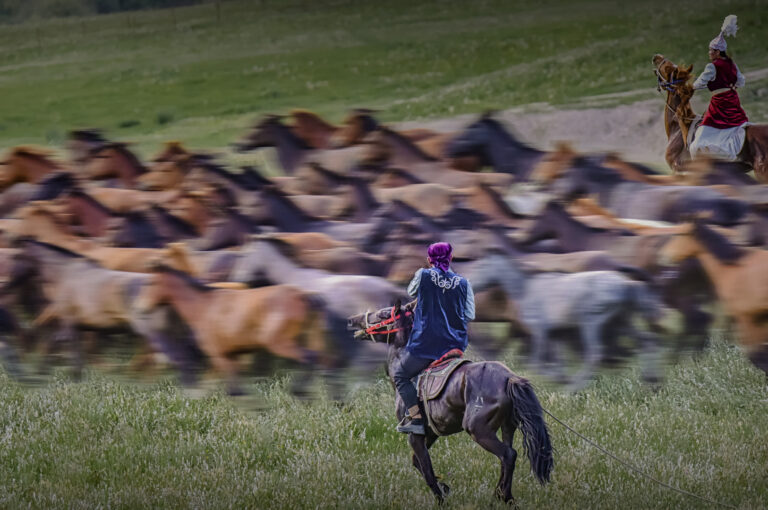 Life and People in Altai, Xinjiang - DSC_5992 1